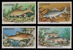 Lesoto 1977 - Mi-Nr.o 237-240 ** - Estampillada sin montar o nunca montada - Peces / Peces - Imagen 1 de 1