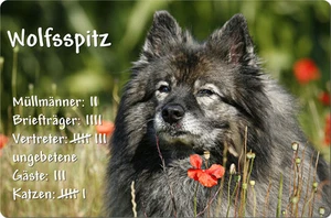 WOLFSSPITZ - A4 Metall Warnschild Alu Hundeschild SCHILD Türschild - WFS 04 T4 - Bild 1 von 2