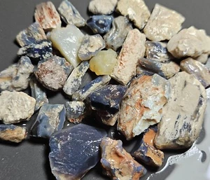 Opalized Fossil Parcel Lightning Ridge Opal Rough Lapidary Specimens 152.4 Carat - Foto 1 di 13