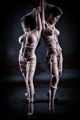 Leinwand-Bild von Guido Thomasi ab 20x30x2 cm Aktbild Aktleinwand Erotikbild - Bild 1 von 3