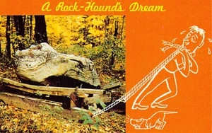 Postcard: A Rock-Hound's Dream, 1962, Unposted - Picture 1 of 2