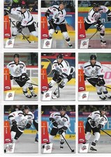 DEL Eishockey 2014/15 - 19 verschiedene Player Cards - Thomas Sabo Ice Tigers