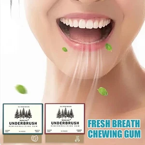 18pcs WebLink UNDERBRUSH REMINERALIZING GUM - Fresh mint & cinnamon flavor - Picture 1 of 14