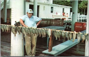 Cadena de postales de pesca/escena de muelle de colección 1964 Jekyll Island, Georgia - Imagen 1 de 2