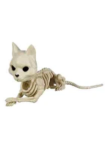 6.5" Cute Skeleton Cat - Picture 1 of 1