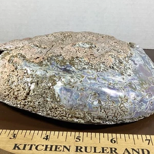 Nice Large 8.5” x 6.5” Pink Abalone Shell Mother Of Pearl Nautical Sea Shell - Picture 1 of 24