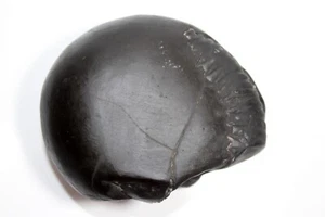 Auspicious Narayan Shaligramm Wt-531 Gramm Größe 4 Zoll - Bild 1 von 7