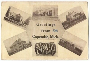 Copemish Michigan MI Multi-view Postcard 1915 - Picture 1 of 2
