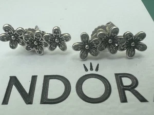 Pandora Gänseblümchen Ohrringe Neuzustand - Bild 1 von 5