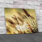 Swaying Grass At Sunset Embracing The Beautiful Canvas Print Large Picture Wall