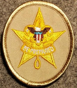 Boy Scout - Star Rank Badge - Tan Oval - Current Issue - BSA - Picture 1 of 1