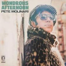 Pete Molinari Wondrous Afternoon (Vinyl) 12" Album
