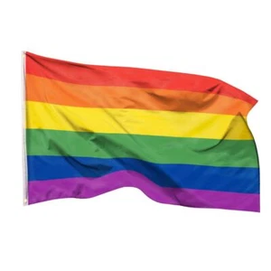 Bandera arco iris bandera silbato Peace 90X150 LGBT bandera arco iris ojales CSD Pride - Imagen 1 de 8