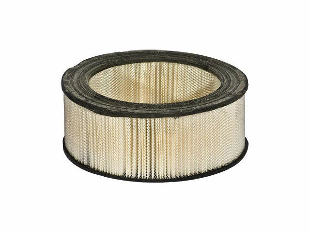 Filtro de aire para Ford E350 Econoline 1992-1994 7,3 L V8 diésel 1993 T884NB Foto 1 de 1