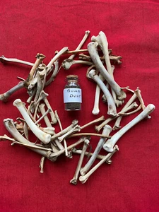 bone dust witchcraft hoodoo protection magick spells occult voodoo - Picture 1 of 2