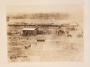 Foto del Cuerpo de Señales de Estados Unidos Primera Guerra Mundial de soldados atendiendo caballos de caballería del ejército - Imagen 1 de 3