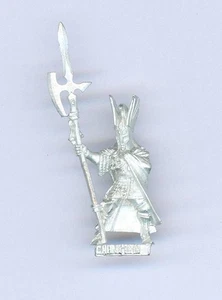 CITADEL WARHAMMER OOP HIGH ELF PHOENIX GUARD CHAMPION - Picture 1 of 1