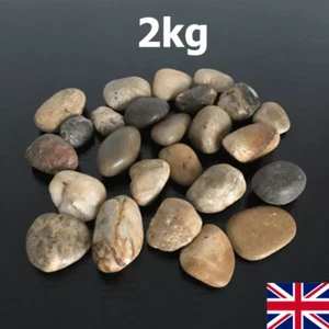2kg Decorative Natural BROWN PEBBLES Stones Chippings Gravel HOME GARDEN Rocks - Picture 1 of 2