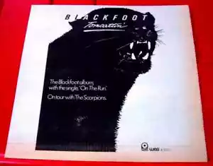 Blackfoot Tomcattin'/On The Run Vintage ORIG 1980 Press/Mag ADVERT 7.5"x 7.5" - Imagen 1 de 3