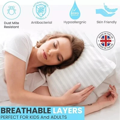 Ethel May 2x Hotel Quality Soft Support Bounce Anti Allergic Hollowfibre Pillows