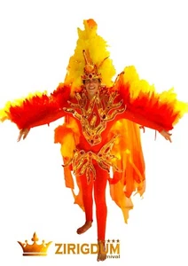 Bird man fancy dress, male halloween costumes 2022, fancy outfits for guys - Picture 1 of 7