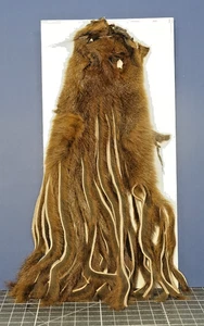 Pine Squirrel zonked WAPSI USA feine Streifen Pinien Eichhörnchen  BROWN - Bild 1 von 3