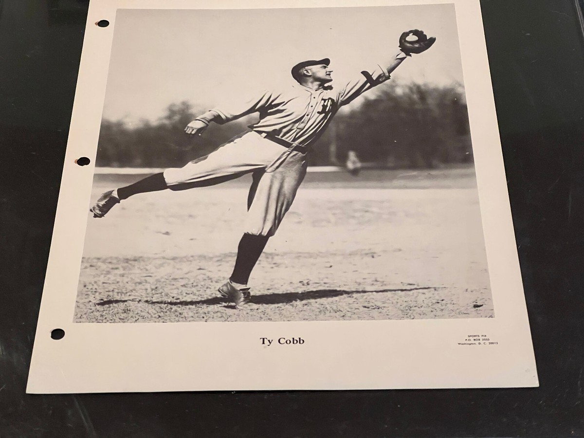 Champion DOVER SOFTBALL フード付 ビンテージ。