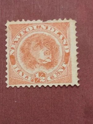 Terranova 1894 Sc#56 perro, 1/2 centavo usado (2404-9) Foto 1 de 2