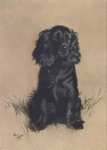 Foto impresa de Cecil Aldin A Dozen Dogs or So Black Cocker Spaniel No.3 - Imagen 1 de 3