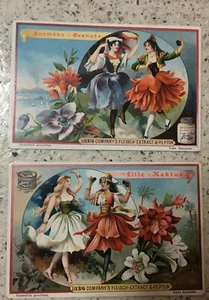 2 antique Liebig Company's Fleisch Extract trade cards beautiful flowers! German - Picture 1 of 4
