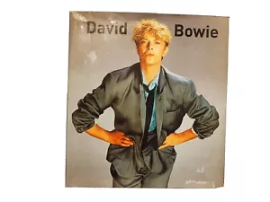 DAVID BOWIE By Jeff Hudson - Hardcover - used good - Foto 1 di 6