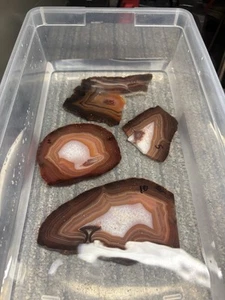 (4) Brazilian Agate Slab Lapidary Quartz Crystal Minerals Cabbing Jasper Craft - Imagen 1 de 20