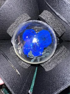 Konservierte Rosen nie verwelkt Blume blau echte Rose Glaskuppel Geschenke für Sie - Bild 1 von 5