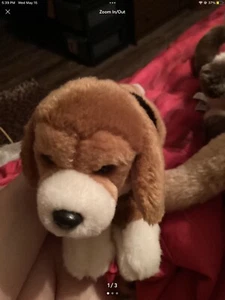 Webkinz Signature Beagle Lying Down No Code - Picture 1 of 1