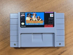 Beethoven: The Ultimate Canine Caper (Super Nintendo Entertainment System, 1993) - Bild 1 von 4