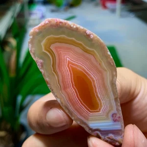 19G Natural Beautiful Agate Geode Druzy Slice Extra Large Gemstone - Picture 1 of 12