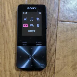 Sony Walkman Portable Audio Player Nw-S315 Series 16GB Black Japanese only - Picture 1 of 3
