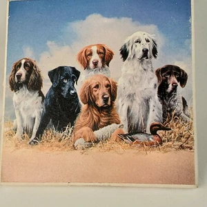 Ceramic coasters (4) Hunting Dogs 6 Different Breeds Out Doors Man Cave GIFT - Picture 1 of 2