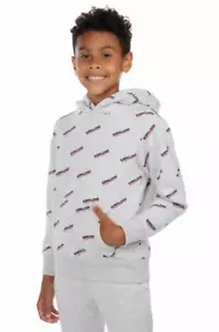 Kirkland Signature Youth Logo Hoodie Gray Costco Unisex Kangaroo Pocket Large - Picture 1 of 9
