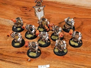 Warhammer Fantasy AOS Dwarven Mountain sostiene martillos bien pintados x10 OR119 - Imagen 1 de 24