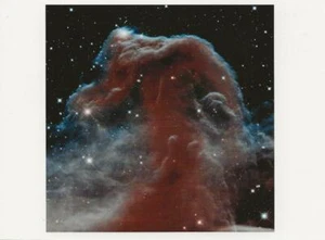 Postcard Horsehead Nebula Hubble Telescope Image NASA Photo MINT Unused - Picture 1 of 1