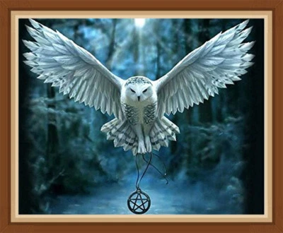 Owl Harry Potter Full Drill DIY 5D Diamond Painting Embroidery Cross Stitch Kits