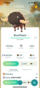 Glänzender Bouffalant - TR-DE abmelden 1m Sternenstaub - Bild 1 von 1