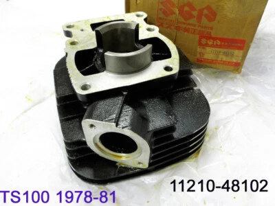 Suzuki TS100 Cylinder 1978-1981 NOS TS100 Engine CYLINDER BLOCK OEM 11210-48102 - Image 1 of 4