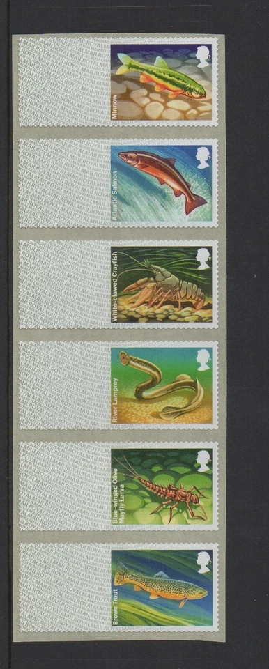  RIVERS  FRESHWATER LIFE BLANK STRIP  of 6  MINNOW TOP  POST GO  SUPERB  -  RARE - Image 1 of 1