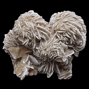 Zigeuner "Wüstenrose" (Samalayuca Wüste, Chihuahua, Mexiko) #M4732 138x122mm - Bild 1 von 3