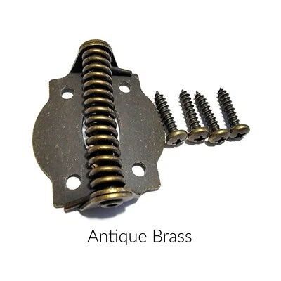 Bisagra de resorte antiguo acabado latón bisagra de gabinete bisagra de puerta - Vendido por el par Foto 1 de 2