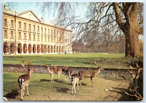 Postcard Oxford Magdalen College Deer Park Oxfordshire England posted 1976 - Picture 1 of 2