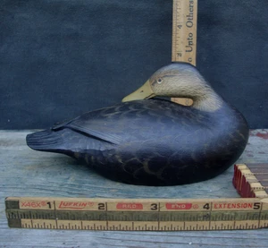 STUNNING BLACK DUCK GEORGE STRUNK DECOY NEW JERSEY NJ SEAVILLE CROWELL - Picture 1 of 4