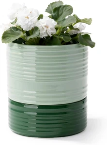 Self Watering Plant Pot, 6 Inch Ceramic African Violet Planter with Drainage Hol - Picture 1 of 7